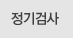 정기검사
