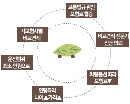 1.교통법규 위반 보험료 할증. 2.비교견적 전문가 진단의뢰. 3.차량옵션에 따라 보험료 하락. 4.연력특약 높게 산정. 5.운전범위 최소인원으로 책정. 6.각 보험사별 비교견적